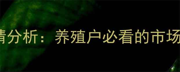 图片 10月山东肉鸡价格行情分析：养殖户必看的市场动态与区域报价解读1