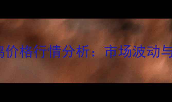 图片 11月3日白羽肉鸡价格行情分析：市场波动与养殖户应对策略