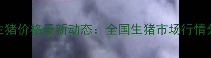 图片 12月26日生猪价格最新动态：全国生猪市场行情分析及展望