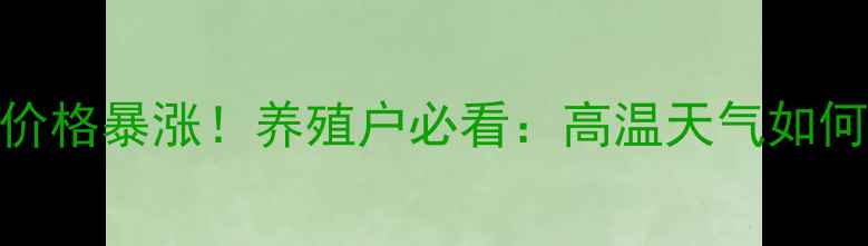 图片 7月7日安徽鸡蛋价格暴涨！养殖户必看：高温天气如何影响鸡蛋市场？