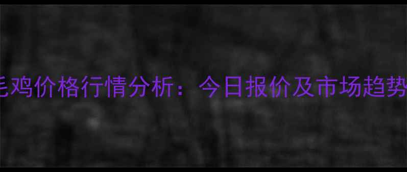 图片 817毛鸡价格行情分析：今日报价及市场趋势解读