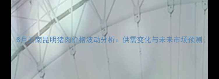 图片 8月云南昆明猪肉价格波动分析：供需变化与未来市场预测