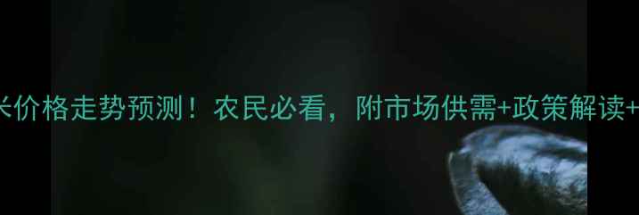 图片 8月后玉米价格走势预测！农民必看，附市场供需+政策解读+种植建议