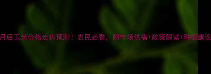 图片 8月后玉米价格走势预测！农民必看，附市场供需+政策解读+种植建议1