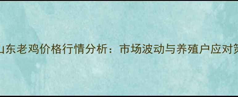 图片 8月山东老鸡价格行情分析：市场波动与养殖户应对策略1