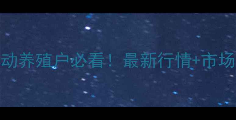 图片 9月27烟台毛鸡价格波动养殖户必看！最新行情+市场趋势+养殖指南全收录