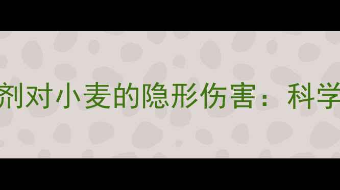 图片 ⚠️警惕！玉米苗后除草剂对小麦的隐形伤害：科学防除指南（附补救方案）