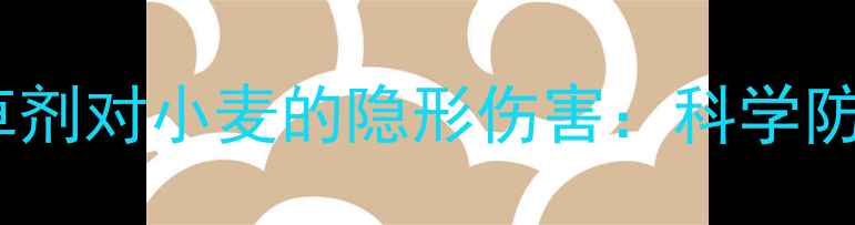 图片 ⚠️警惕！玉米苗后除草剂对小麦的隐形伤害：科学防除指南（附补救方案）1