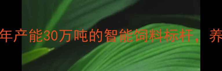 图片 ✨哈尔滨大牧人饲料厂深度｜年产能30万吨的智能饲料标杆，养殖户如何靠它实现年入百万？