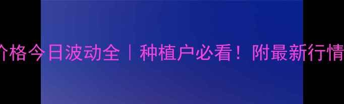 图片 ✨天津玉米价格今日波动全｜种植户必看！附最新行情+避坑指南🌾
