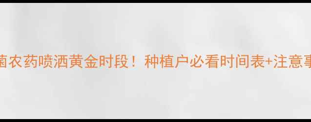 图片 ✨杀菌农药喷洒黄金时段！种植户必看时间表+注意事项🌱