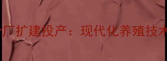 图片 上海英联饲料河南分厂扩建投产：现代化养殖技术助力中原农业升级1