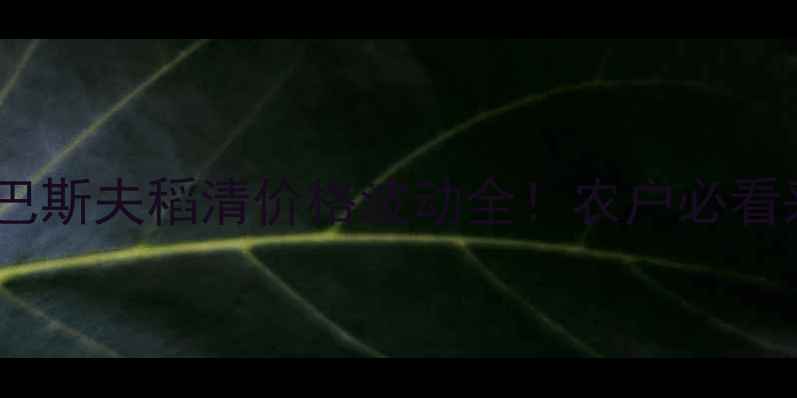 图片 东北稻区巴斯夫稻清价格波动全！农户必看采购指南1