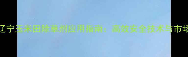 图片 东北辽宁玉米田除草剂应用指南：高效安全技术与市场趋势