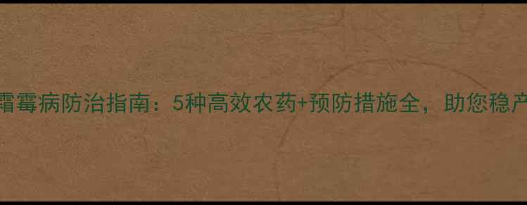图片 丝瓜霜霉病防治指南：5种高效农药+预防措施全，助您稳产增收