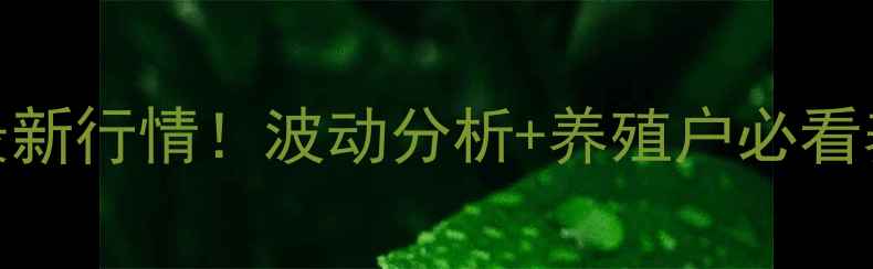 图片 主赤峰敖汉旗生猪价格最新行情！波动分析+养殖户必看养殖建议（附价格走势）