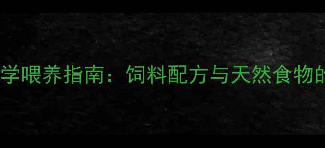 图片 乌鸡饲料科学喂养指南：饲料配方与天然食物的平衡之道1