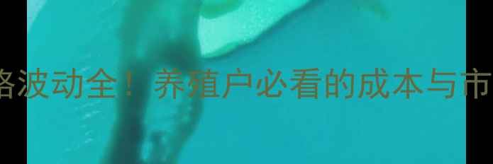 图片 云南毛猪价格波动全！养殖户必看的成本与市场趋势指南1