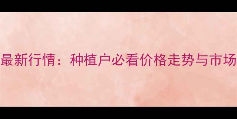 图片 云南玉米价格10月最新行情：种植户必看价格走势与市场分析（实时更新）