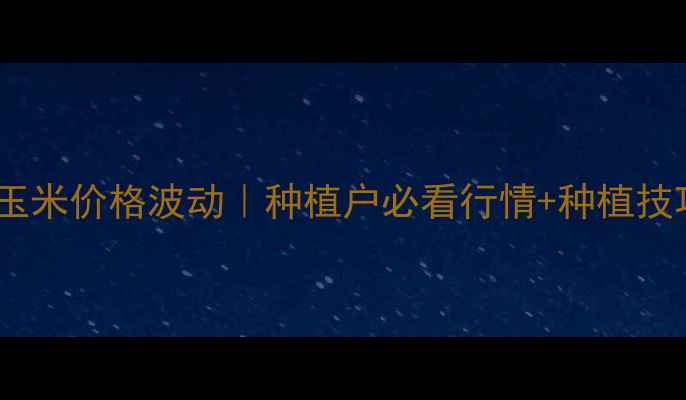 图片 今日叶县玉米价格波动｜种植户必看行情+种植技巧全攻略1