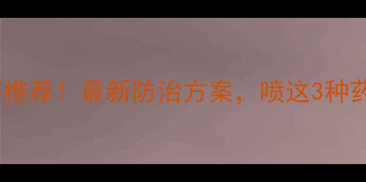 图片 介苋病农药推荐！最新防治方案，喷这3种药效果翻倍1
