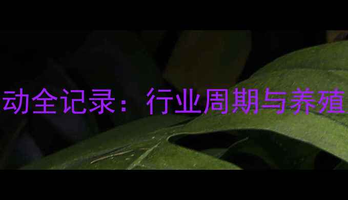 图片 仔猪价格波动全记录：行业周期与养殖户应对策略