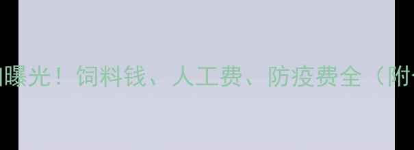 图片 代养猪收费明细曝光！饲料钱、人工费、防疫费全（附合同避坑指南）