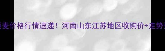 图片 优质麦价格行情速递！河南山东江苏地区收购价+走势预测