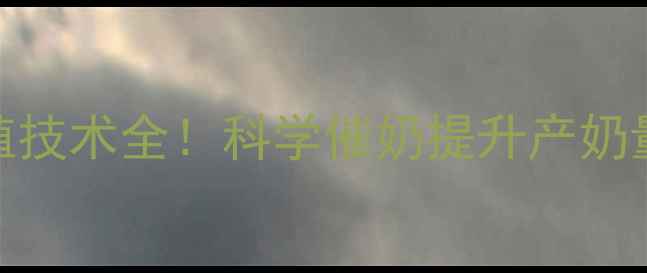 图片 催奶灵散价格及养殖技术全！科学催奶提升产奶量，养殖户必看指南