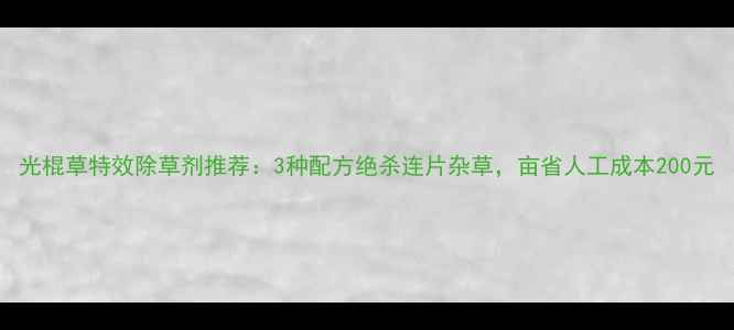 图片 光棍草特效除草剂推荐：3种配方绝杀连片杂草，亩省人工成本200元