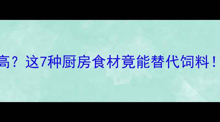 图片 兔子养殖成本高？这7种厨房食材竟能替代饲料！家庭养殖必看