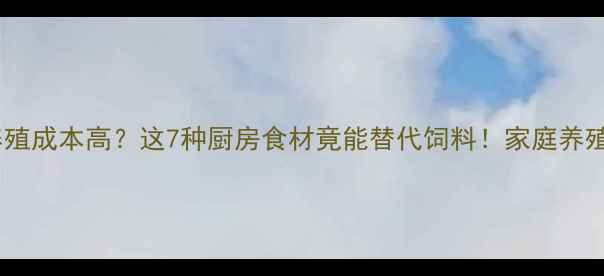图片 兔子养殖成本高？这7种厨房食材竟能替代饲料！家庭养殖必看1