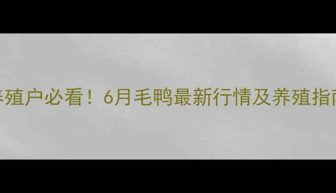 图片 全国毛鸭价格波动｜养殖户必看！6月毛鸭最新行情及养殖指南（附区域价差数据）