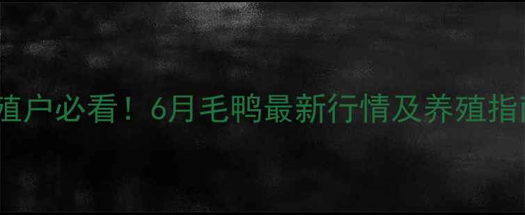 图片 全国毛鸭价格波动｜养殖户必看！6月毛鸭最新行情及养殖指南（附区域价差数据）1