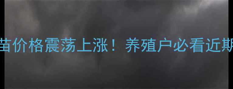 图片 全国肉鸡苗蛋鸡苗价格震荡上涨！养殖户必看近期报价及养殖指南