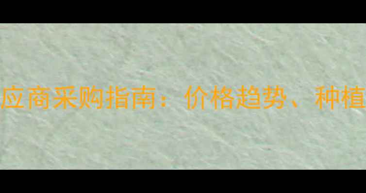 图片 全国饲料玉米供应商采购指南：价格趋势、种植技术及市场展望