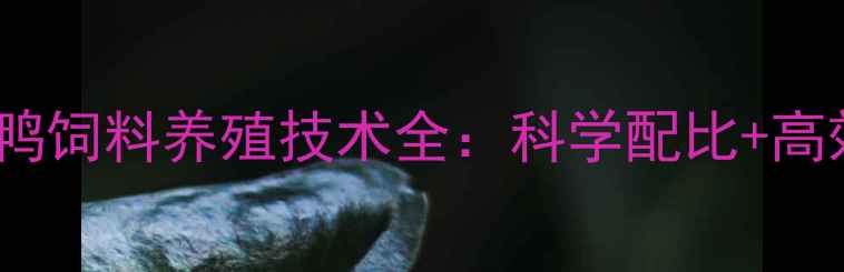 图片 养殖户必看！怀化正大鸭饲料养殖技术全：科学配比+高效转化，助您年赚30万+