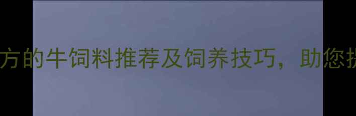 图片 养殖户必看！科学配方的牛饲料推荐及饲养技巧，助您提升产量与经济效益1