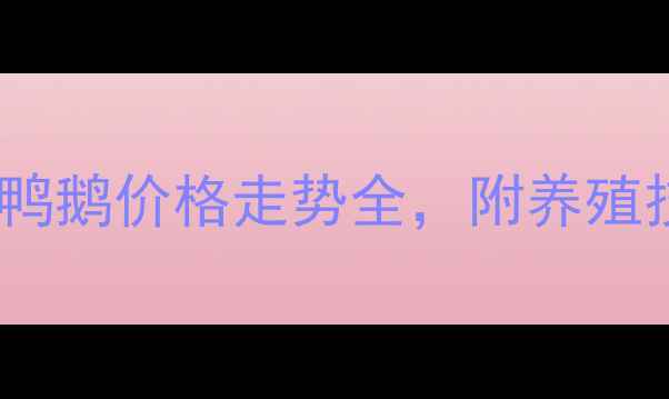 图片 养殖户必看！鸡鸭鹅价格走势全，附养殖技巧和利润预测1