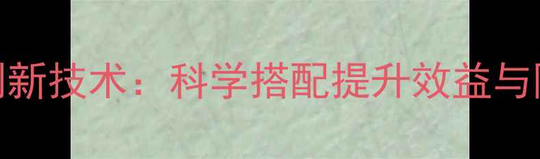 图片 养猪饲料添加剂新技术：科学搭配提升效益与降低成本全攻略