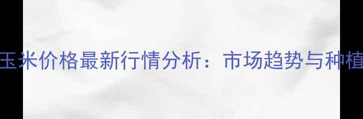 图片 内江玉米价格最新行情分析：市场趋势与种植建议