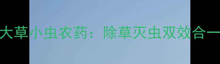 图片 农业新宠！志成大草小虫农药：除草灭虫双效合一的绿色防控方案