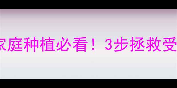 图片 农药药害急救指南｜家庭种植必看！3步拯救受损作物+天然修复秘籍