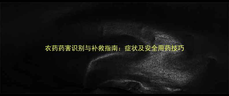 图片 农药药害识别与补救指南：症状及安全用药技巧