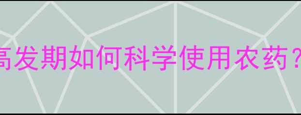 图片 冬瓜种植必看！花叶病高发期如何科学使用农药？附农药选择与蘸花技巧