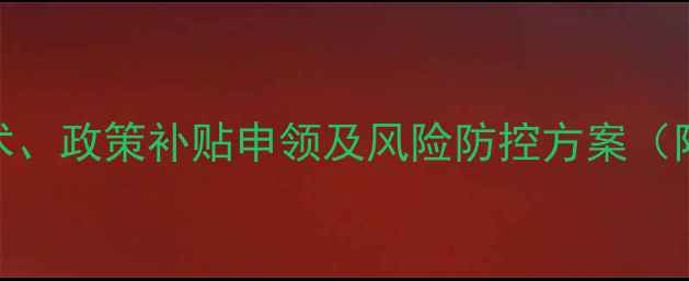 图片 副标包含全流程技术、政策补贴申领及风险防控方案（附行业白皮书数据）