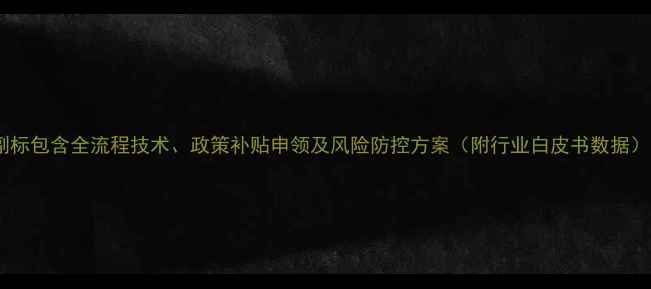 图片 副标包含全流程技术、政策补贴申领及风险防控方案（附行业白皮书数据）1