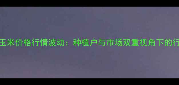图片 北京甜玉米价格行情波动：种植户与市场双重视角下的行情报告