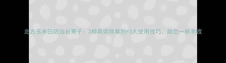 图片 北方玉米田防治谷莠子：3种高效除草剂+3大使用技巧，助您一秋丰收