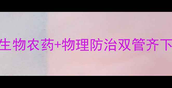 图片 华北地区地蛆防治新突破：自制生物农药+物理防治双管齐下方案（附详细配方与操作指南）